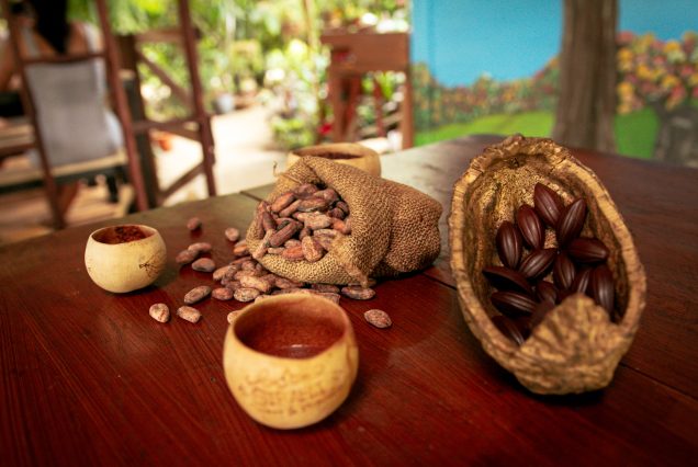 Experience the rich aroma and taste of Chocolate Experience Tour as you tour a table adorned with cocoa beans.