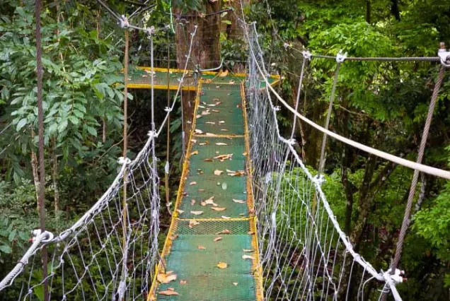 A suspension bridge in the jungle near Rio Celeste Zip-lining.