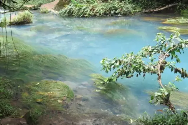 Rio Celeste Waterfall Hike is a hike along the Rio Celeste river in the jungle with its stunningly blue water leading to the mesmerizing Rio Celeste Waterfall.