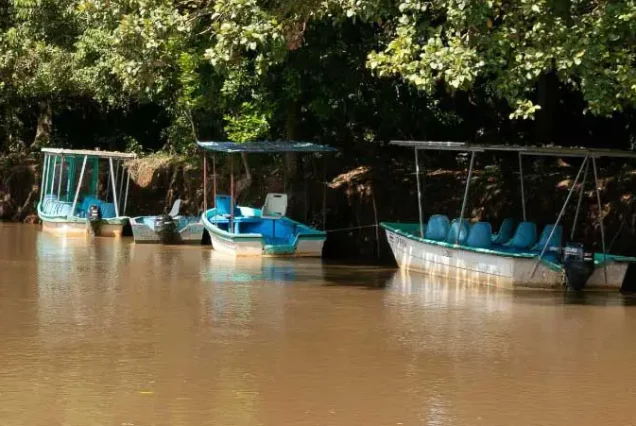 Small boats docked in a river near Caño Negro Wildlife Refuge.