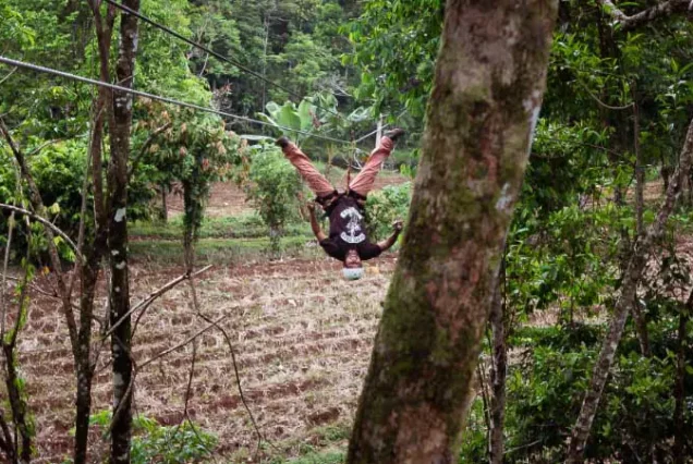 A man Rio Celeste Zip-lining through the lush jungle of Rio Celeste.