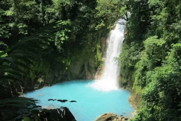 A Rio Celeste Waterfall Hike in the jungle with blue water.