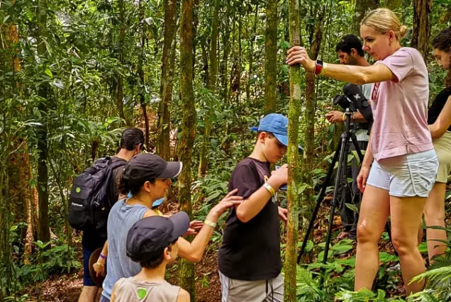 A responsible and sustainable group of people on a Responsible and Sustainable Sloth Tour in a forest, capturing memorable moments with a camera.