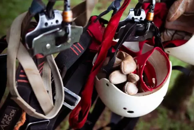 A group of Rio Celeste Zip-lining helmets and ropes hanging from a tree, highlighting the thrill of zip-lining in Rio Celeste.