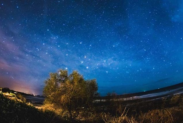 A Night Tour of the starry night sky over a beach.