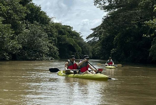 A group of people kayaking down a river with trees in the background.