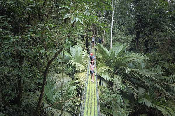 Located in Costa Rica, the Onca Adventure Park Costa Rica offers a thrilling experience as people embark on a journey walking on a suspension bridge amidst the lush jungle.