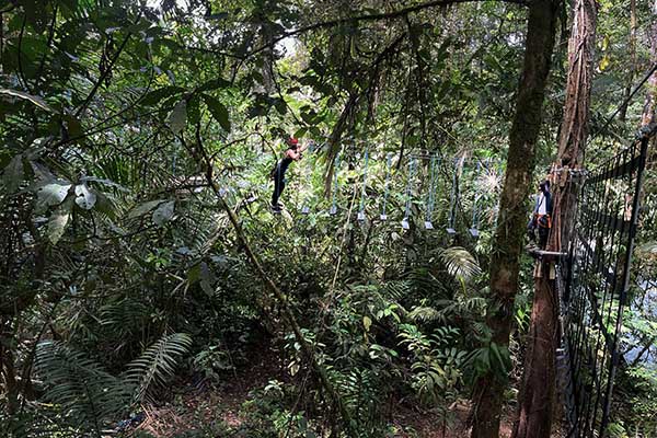 An exhilarating experience awaits at Onca Adventure Park Costa Rica. Embark on a thrilling journey as you navigate through the vibrant rope park, brimming with exciting obstacles and challenges. Channel