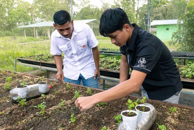 Two men are tending to seedlings in an outdoor garden, set against the lush backdrop of the Didactic Costa Rica Farm School Tour, where surrounding greenery and structures create a learning atmosphere.