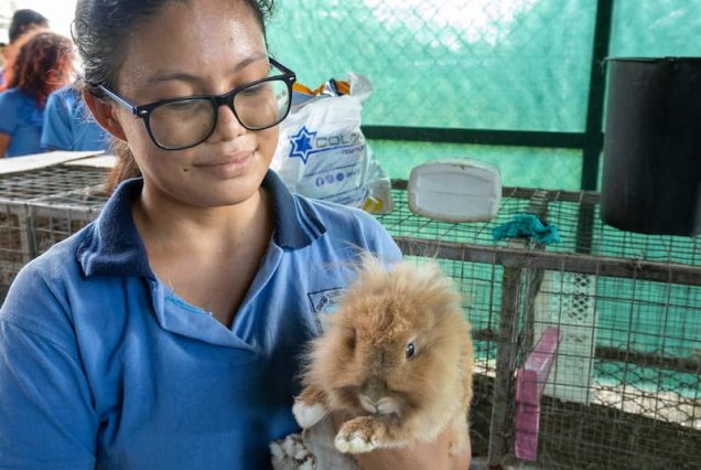 A person wearing a blue shirt and glasses holds a fluffy rabbit, providing an educational moment during the Didactic Costa Rica Farm School Tour in front of rabbit cages with a green netting backdrop.