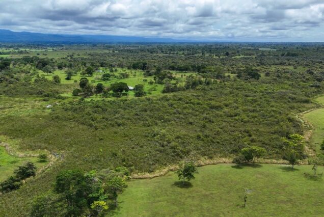 Aerial view of a vast green landscape with scattered trees, grassy fields, and dense vegetation under a cloudy sky.