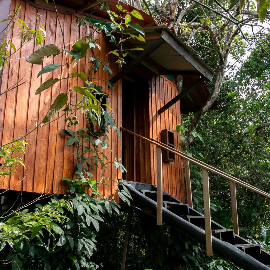Treehouse in Costa Rica