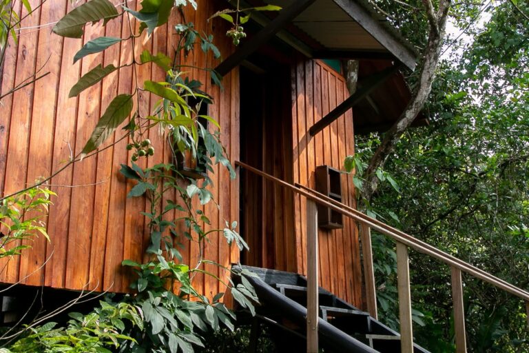 Treehouse in Costa Rica