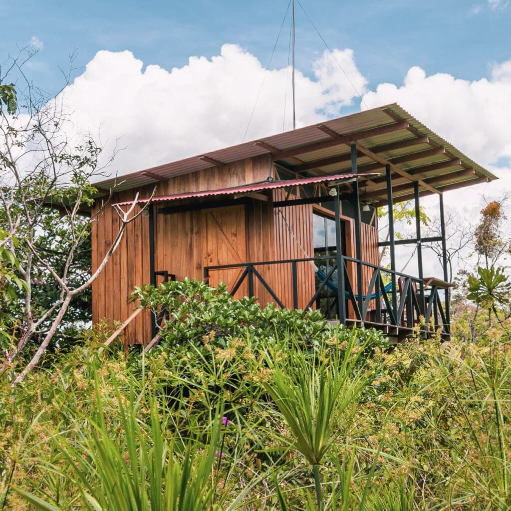 A treehouse from a far view