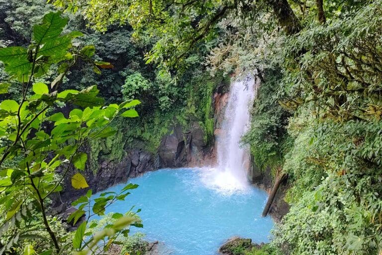 Majestic Rio Celeste Waterfall A breathtaking view of the Rio Celeste waterfall cascading into a serene turquoise pool. The waterfall is partially hidden by the lush, vibrant green foliage of the tropical rainforest. Sunlight filters through the canopy, illuminating the misty spray and the clear blue waters, evoking a sense of peace and natural beauty