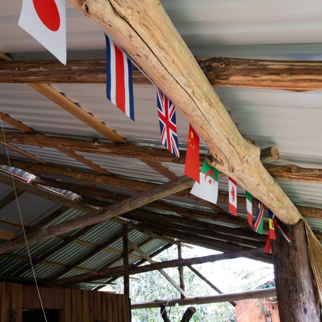 Flags from different Countries