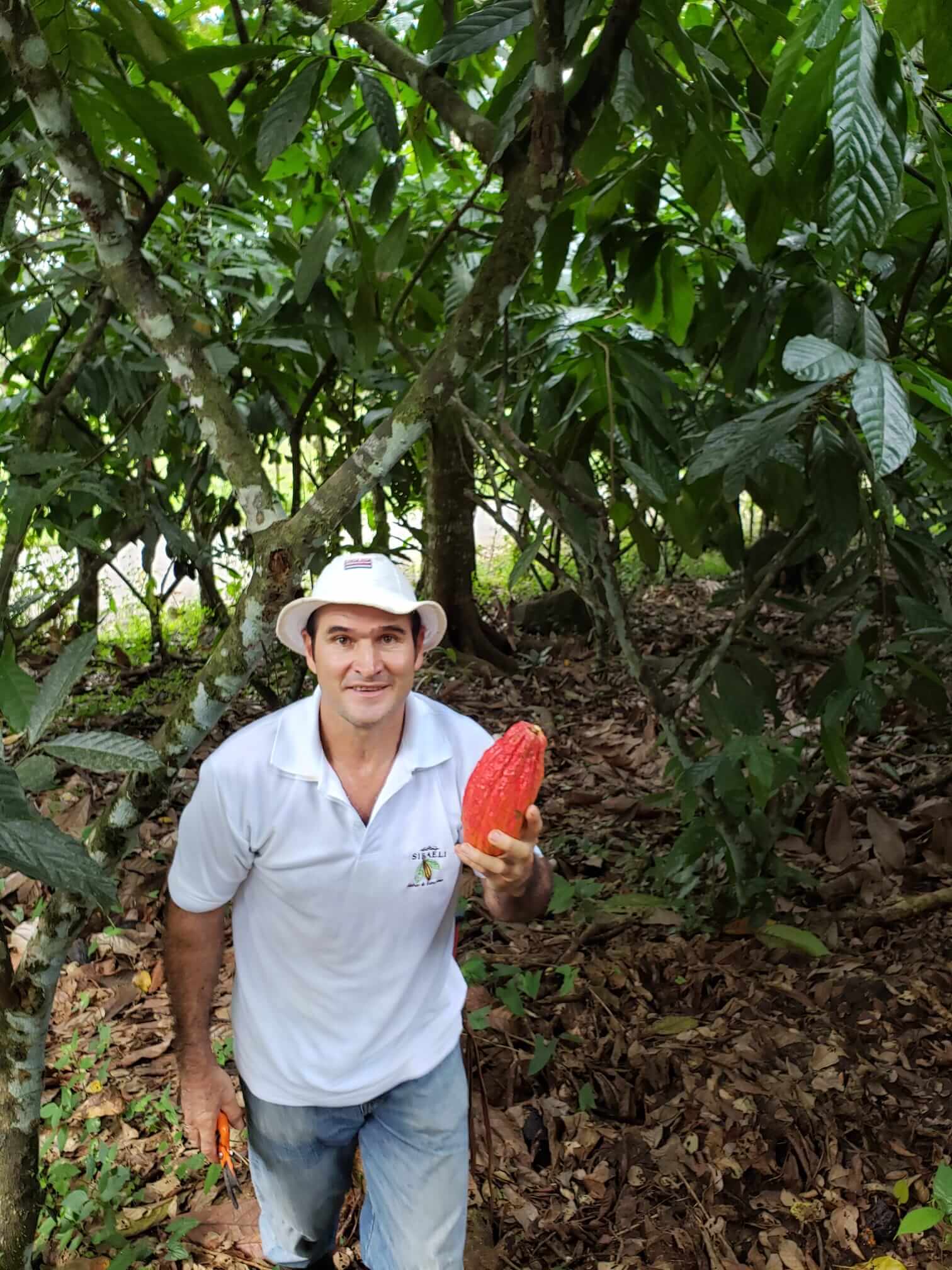 A men holding a cacao bean in his right hand