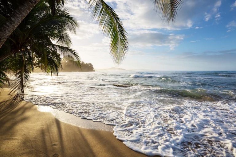 Tropical beach scene along the Pacific Costa Rica coast, where palm trees sway gently and the sun shines through partially cloudy skies, casting warm light on the January waves. Tropical beach scene along the Pacific Costa Rica coast, where palm trees sway gently and the sun shines through partially cloudy skies, casting warm light on the January waves.