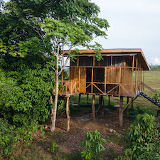 DJI_0398 A photo of a tree house