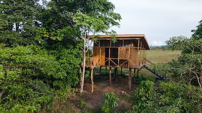 A photo of a tree house