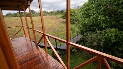 A photo of the balcony of a tree house