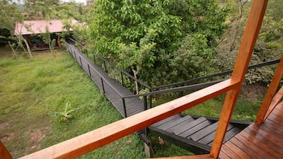 A photo of stairs of a tree house