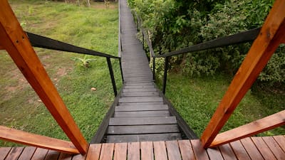 A photo of the stairs of a tree house in Katira