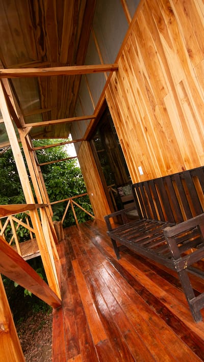 The front door of a tree house