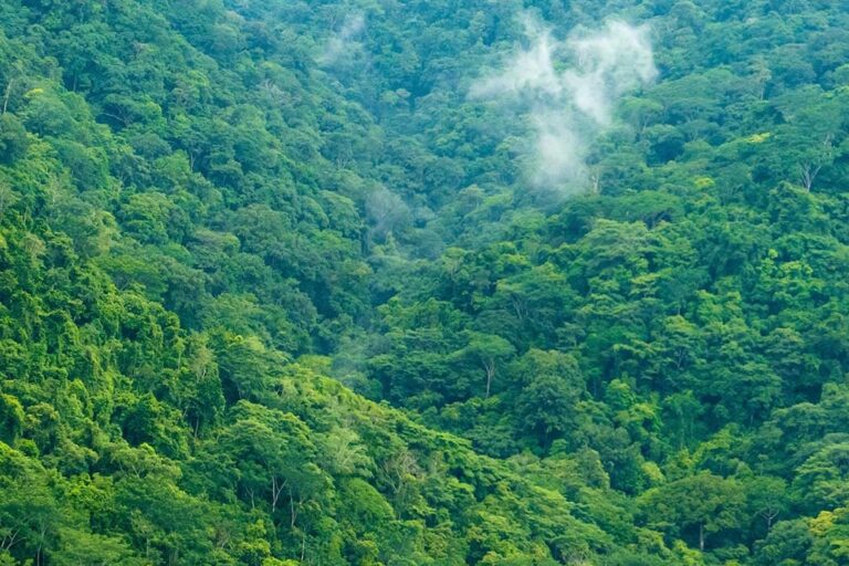 Green Costa Rica mountains