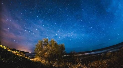 A beach illuminated by the starry sky.