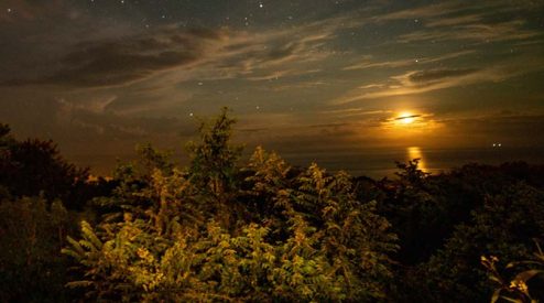 A full moon gracefully rises over the ocean and trees, casting a mesmerizing glow on the tranquil surroundings. The ethereal scene instantly brings to mind the enchanting experience of tubing in Rio Celeste,