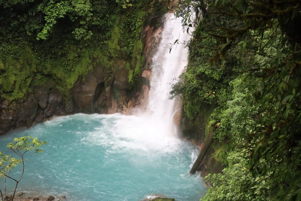 A lush waterfall at Rio Celeste Falls cascades into a turquoise pool surrounded by dense green forest in Costa Rica.