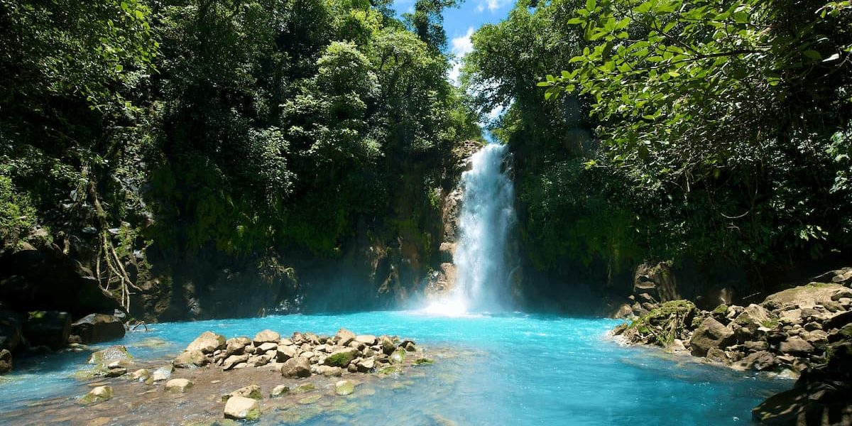 The Rio Celeste Waterfall flows into a vibrant blue river surrounded by lush green foliage under a clear blue sky. The Rio Celeste Waterfall flows into a vibrant blue river surrounded by lush green foliage under a clear blue sky.