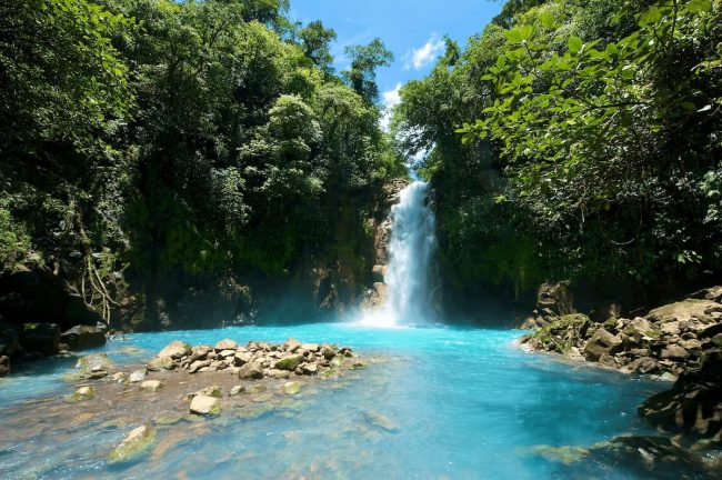 The Rio Celeste Waterfall flows into a vibrant blue river surrounded by lush green foliage under a clear blue sky.