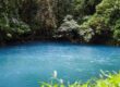A vibrant blue pond, illustrating why Rio Celeste is blue, is surrounded by dense, lush green tropical vegetation and trees under natural daylight.